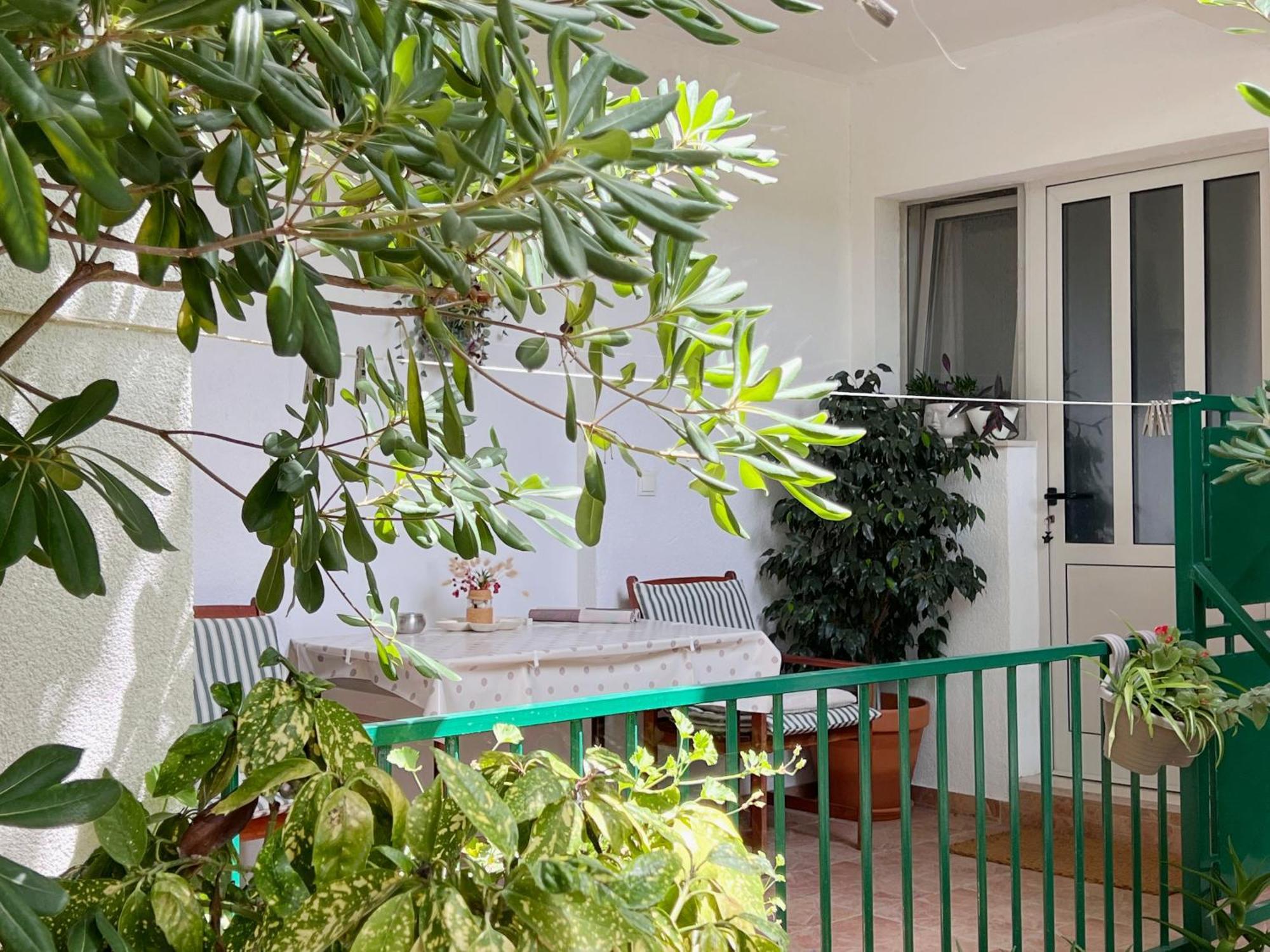 Room Tai - Spacious And Comfy With Private Terrace Hvar Town Eksteriør billede